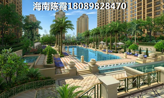 海南全域XG政策