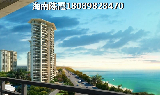 法國維希小鎮(zhèn)VS藍島別院分析對比